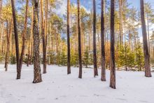 Дом в Кп Николина Слобода