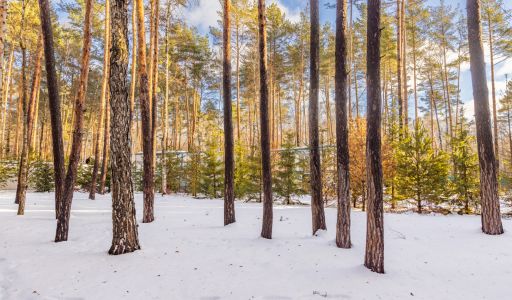 Дом в Кп Николина Слобода