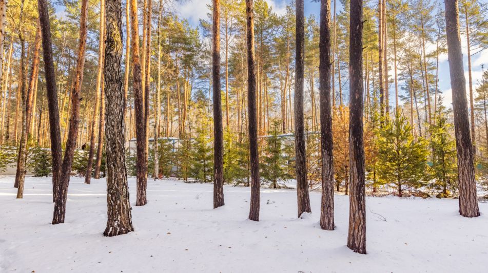 Дом в Кп Николина Слобода