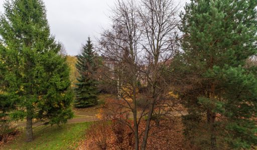 Дом в КП Миллениум парк