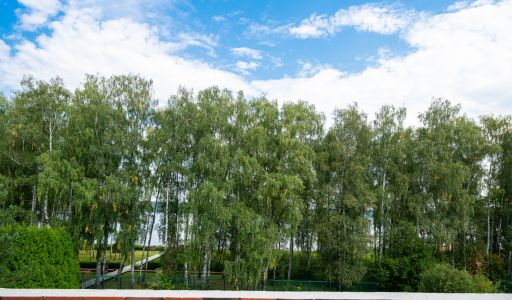 Дом в КП Монаково