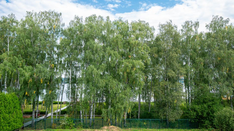 Дом в КП Монаково