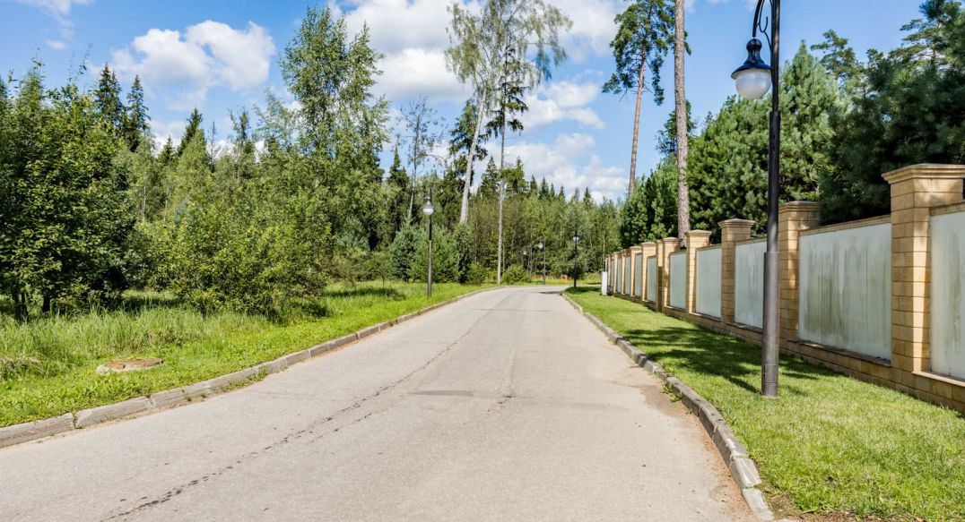 Лесные Зори