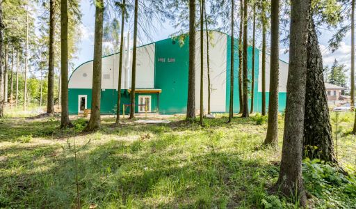 Лесные Зори