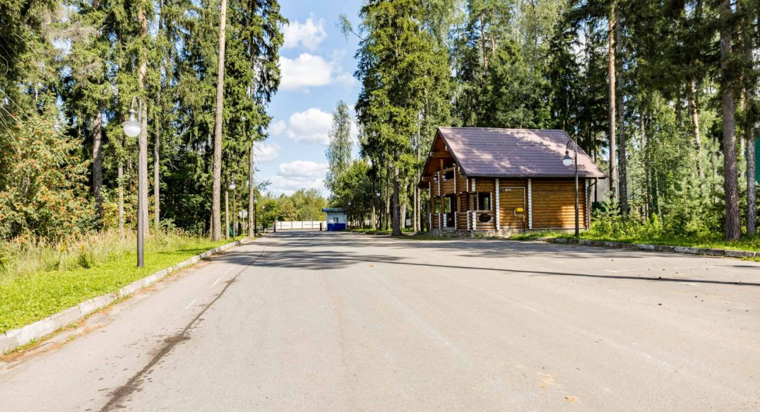 Лесные Зори