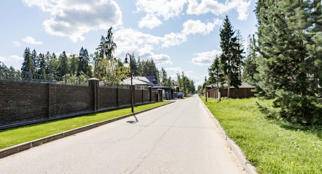 Лесные Зори