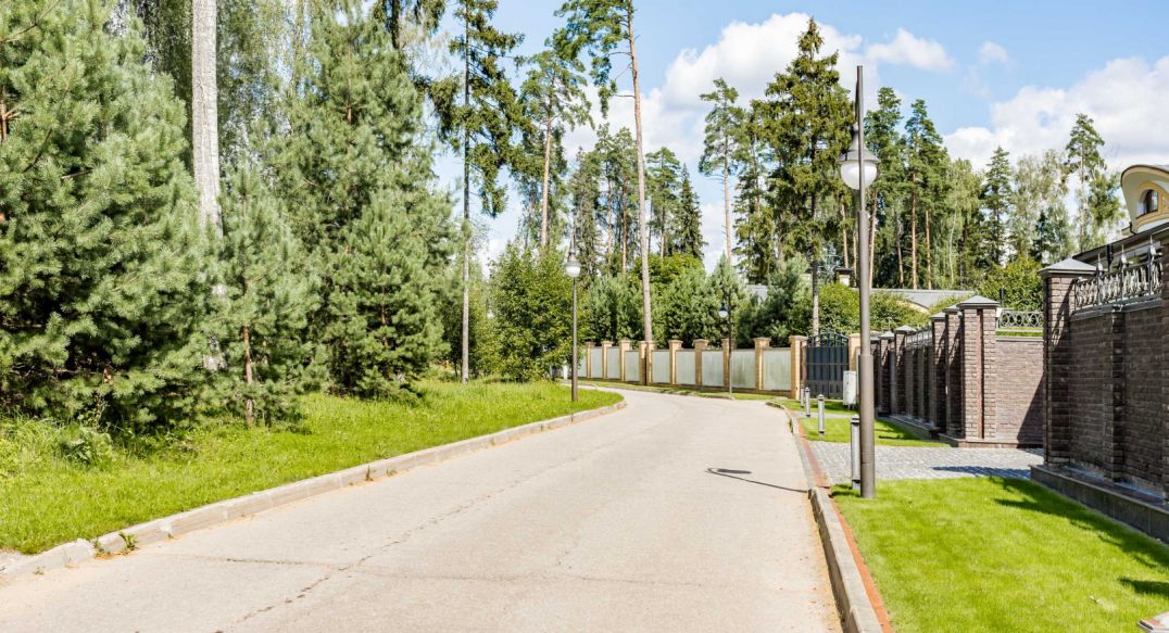 Лесные Зори