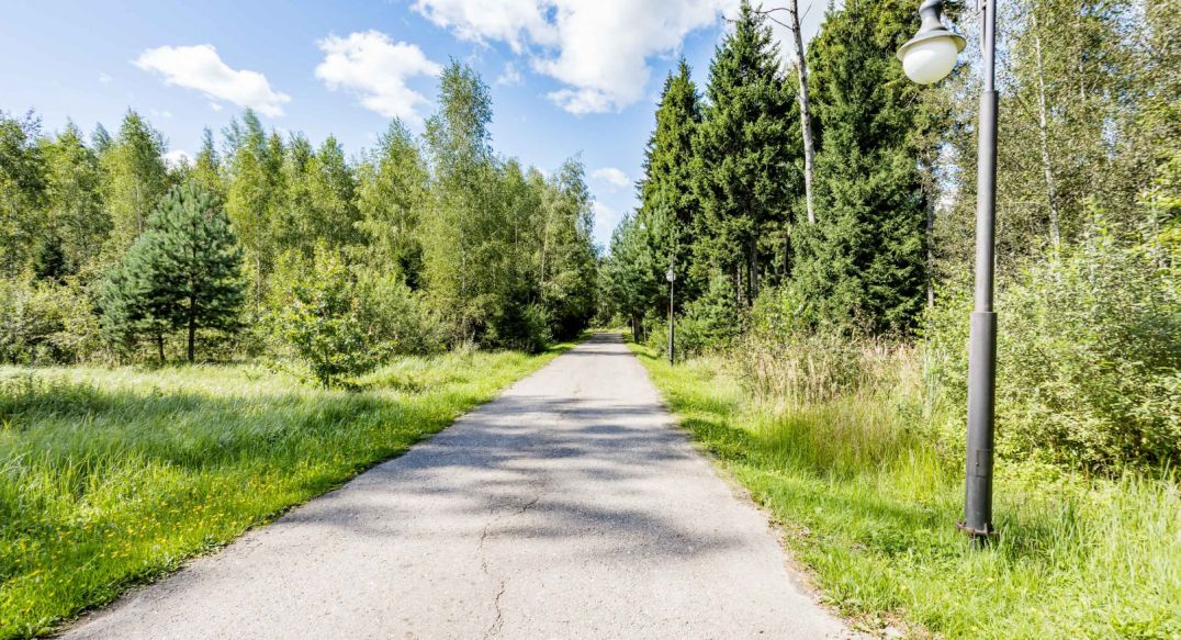 Лесные Зори