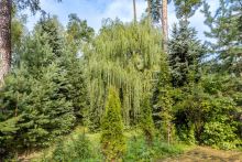 Готовый дом в кп Никологорский