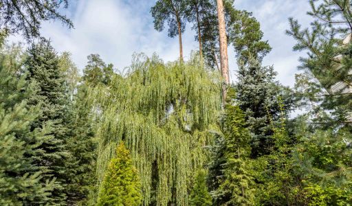 Готовый дом в кп Никологорский