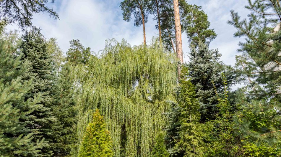 Готовый дом в кп Никологорский