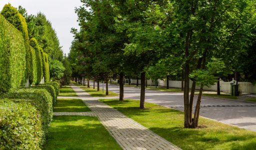 Участок в Резиденции Бенилюкс