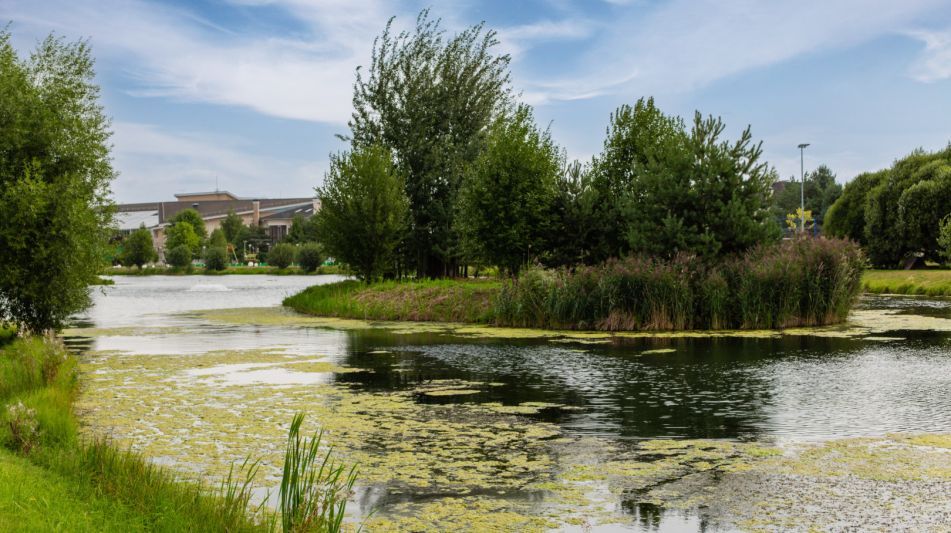 Участок в Резиденции Бенилюкс