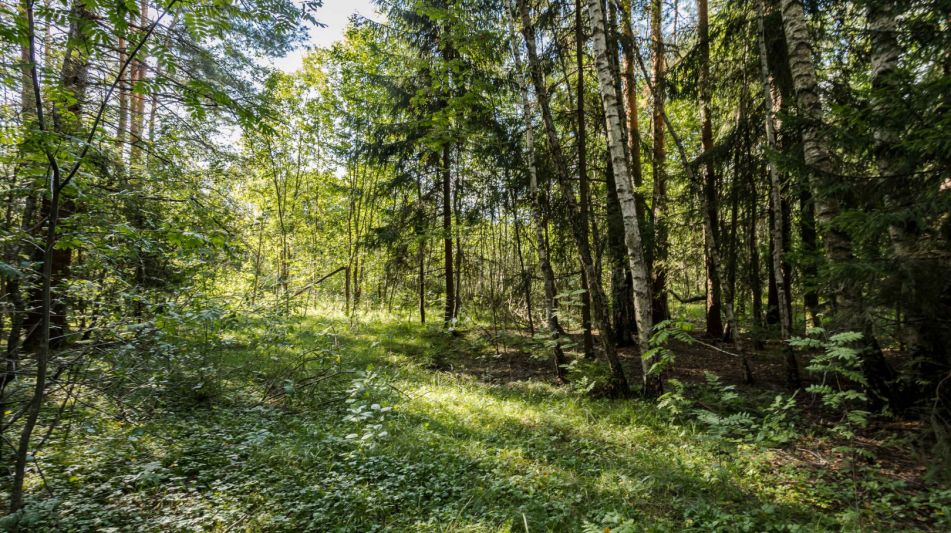 Участок в Резиденции Бенилюкс