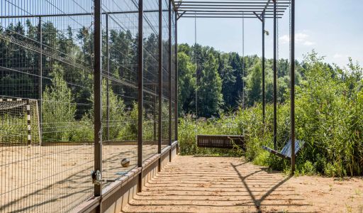 Истранавтика