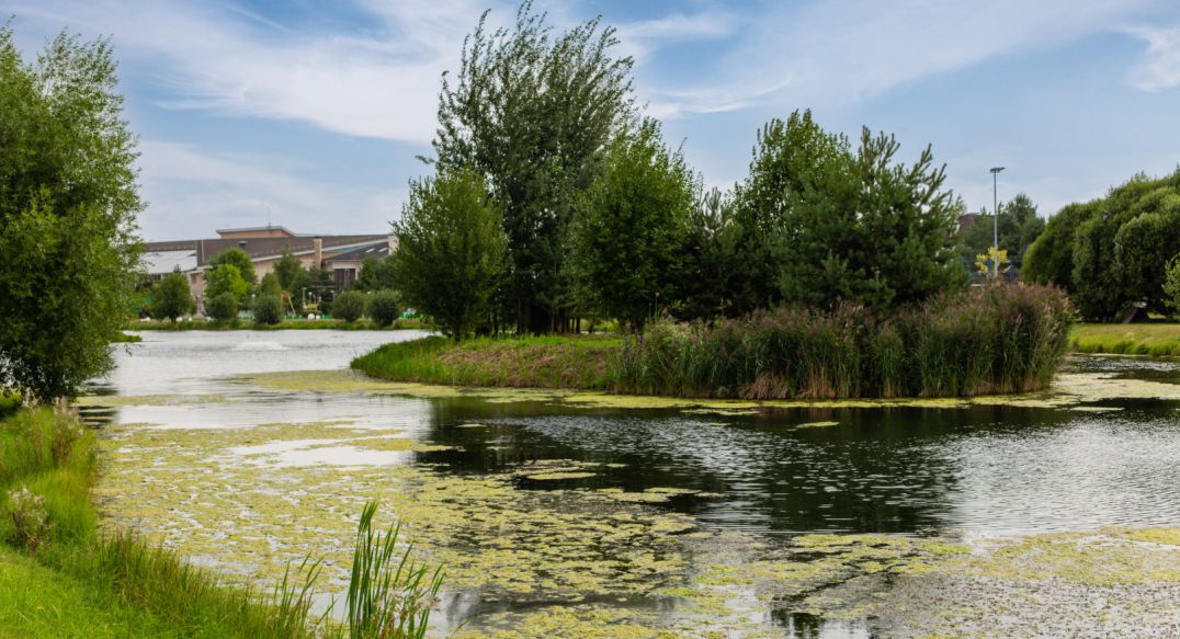 Резиденции Бенилюкс