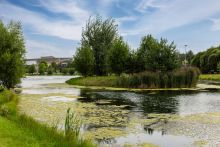 Резиденции Бенилюкс