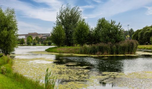 Резиденции Бенилюкс