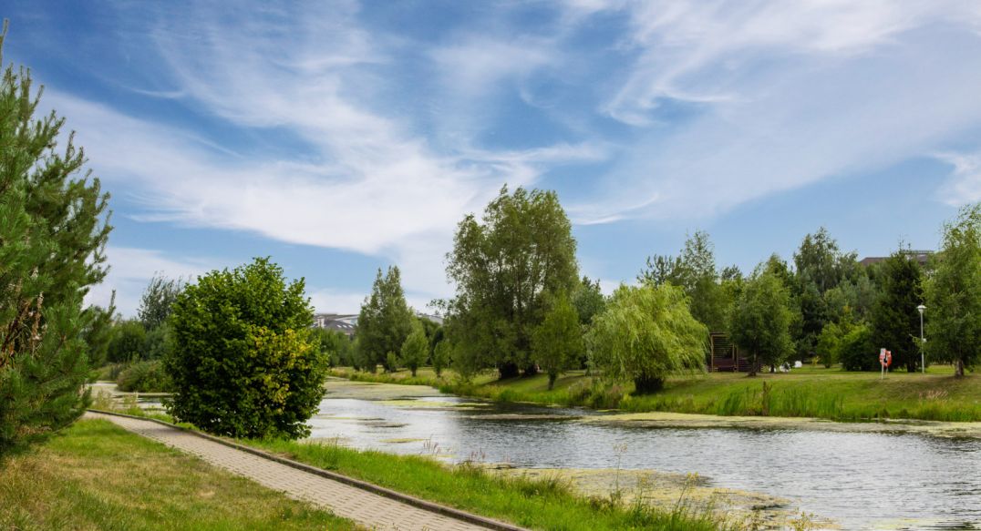 Резиденции Бенилюкс