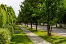 Резиденции Бенилюкс