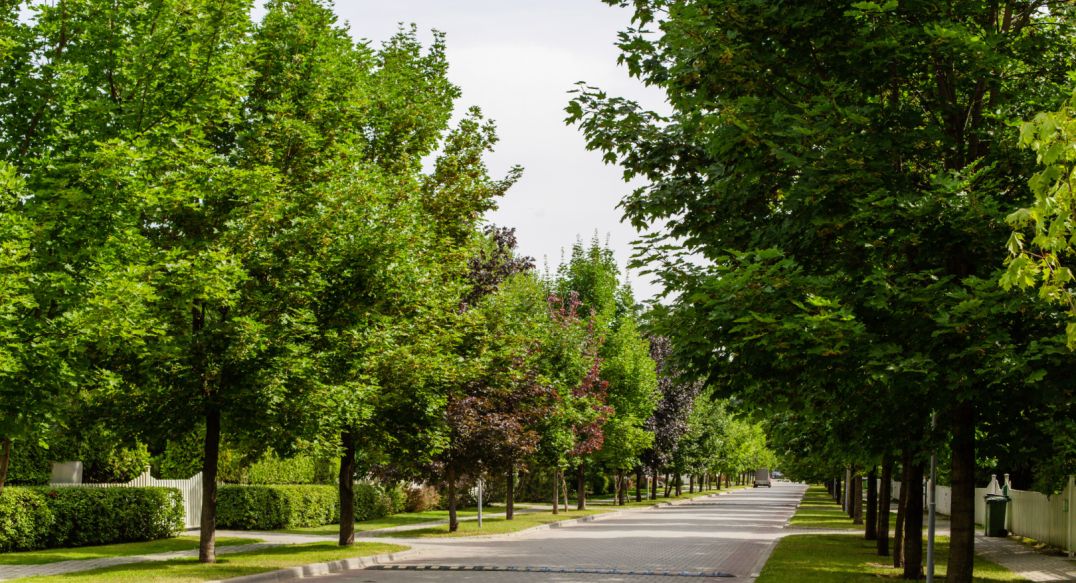 Резиденции Бенилюкс