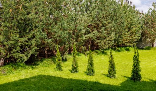 Дом под отделку в КП Прозорово