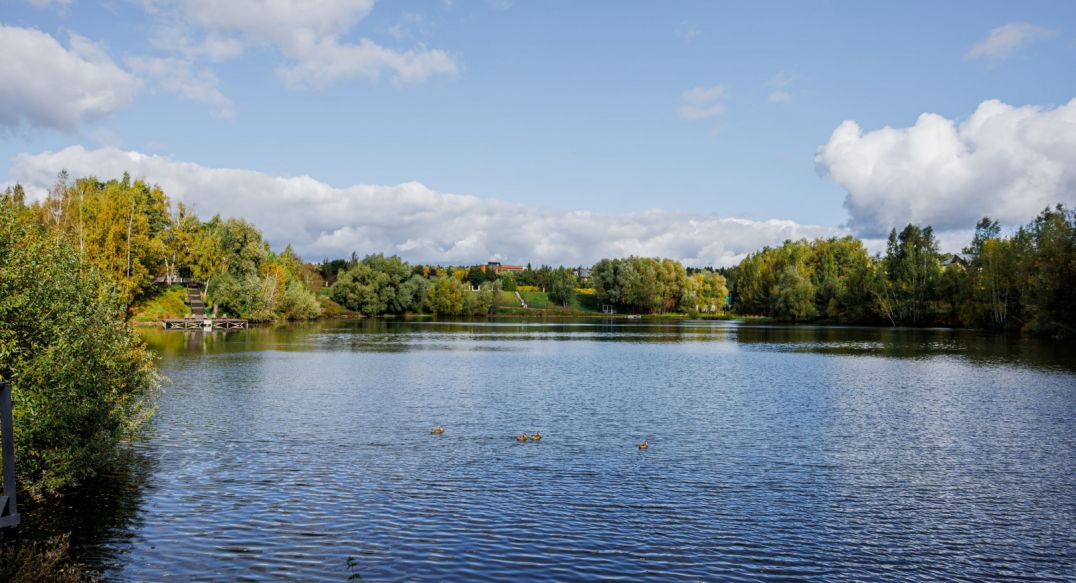 Веледниково