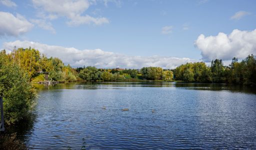 Веледниково