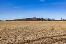 Участок в КП Новосельцево