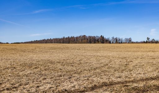Участок в КП Новосельцево