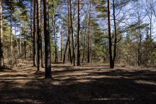 Участок в КП Новосельцево