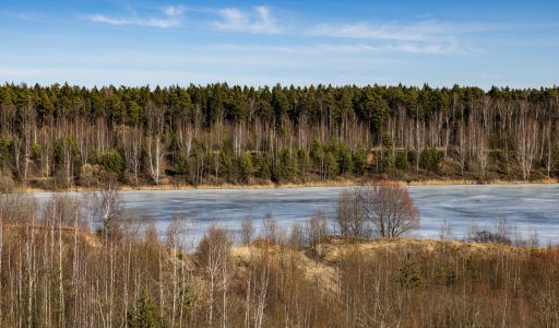 Участок в КП Новосельцево