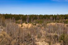Участок в КП Новосельцево