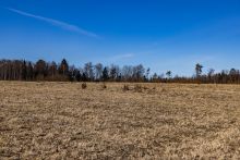 Участок в КП Новосельцево