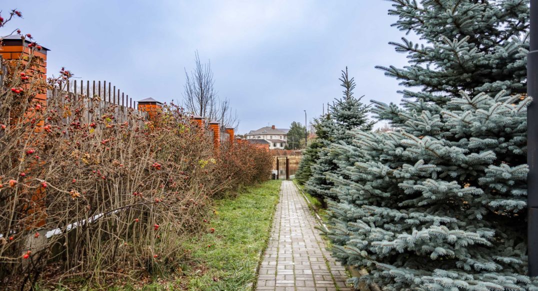 Чистые пруды (Крёкшино)