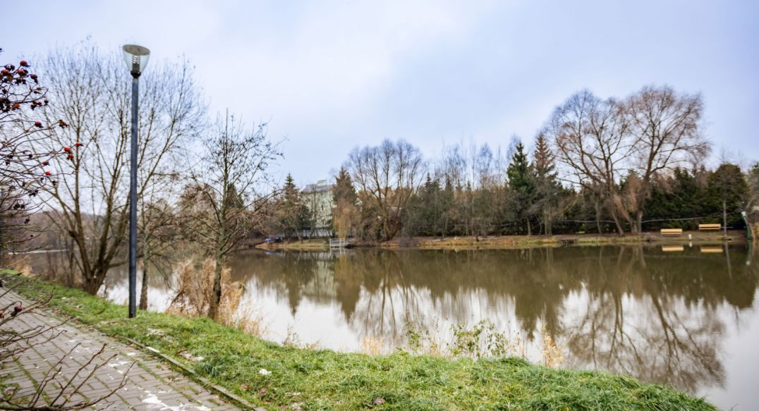 Чистые пруды (Крёкшино)