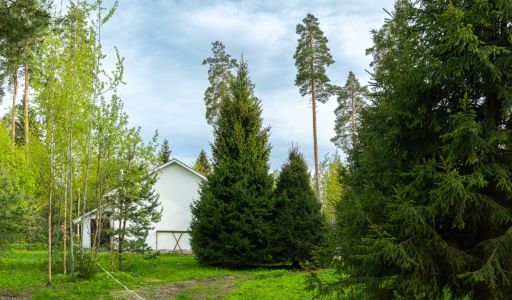 Участок в КП Лес Иславское