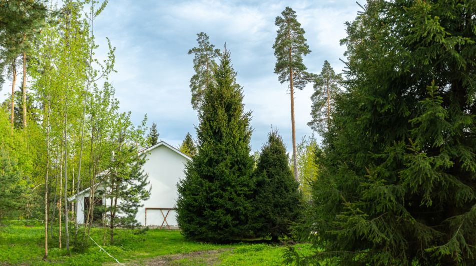 Участок в КП Лес Иславское