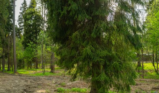Участок в КП Лес Иславское