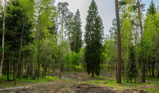 Участок в КП Лес Иславское