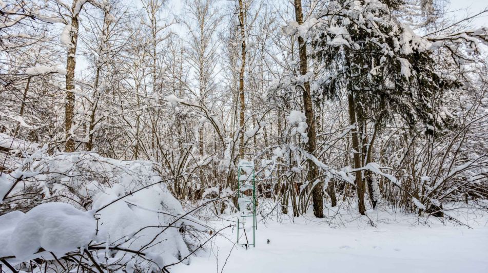 Лесной участок в Новодарьино РАН