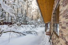 Лесной участок в Новодарьино РАН