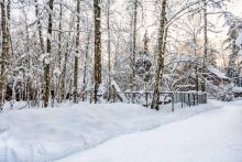 Лесной участок в Новодарьино РАН