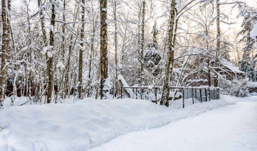Лесной участок в Новодарьино РАН