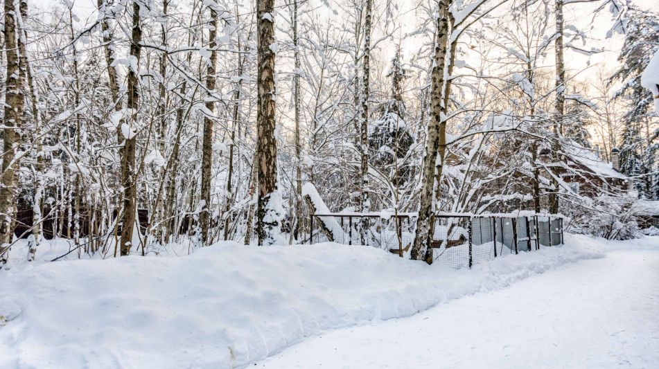 Лесной участок в Новодарьино РАН