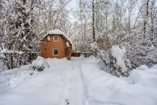 Лесной участок в Новодарьино РАН