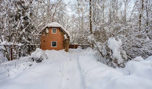 Лесной участок в Новодарьино РАН