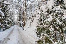 Лесной участок в Новодарьино РАН