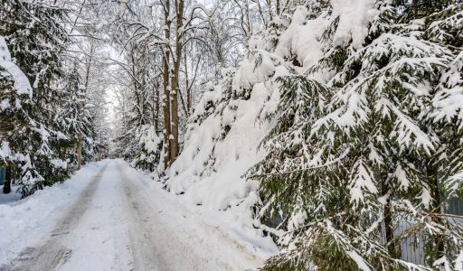 Лесной участок в Новодарьино РАН