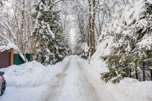 Лесной участок в Новодарьино РАН